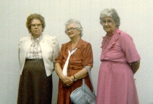The Taylor Family Children